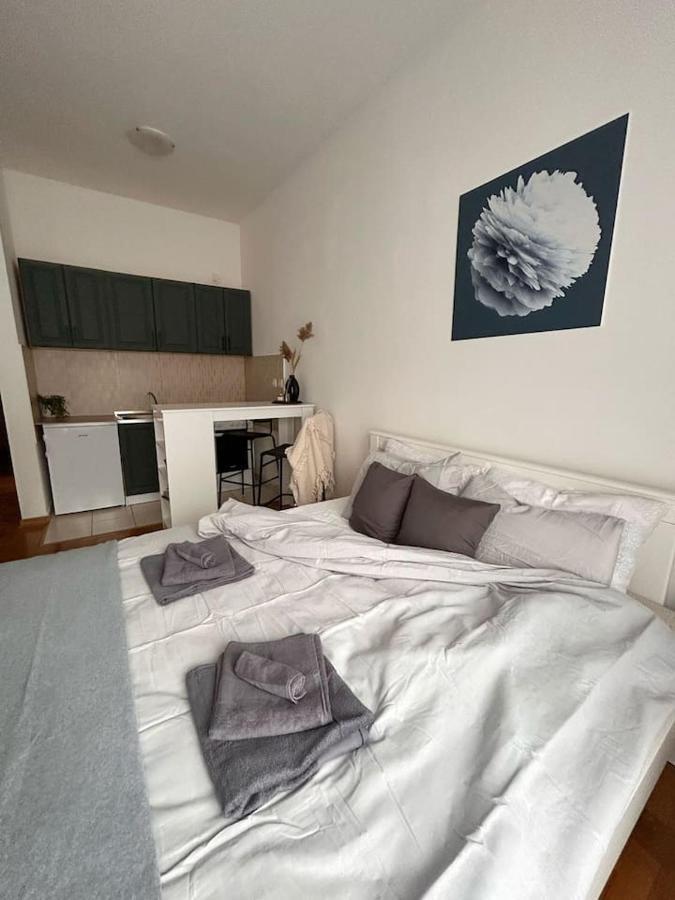 S11 Apartman Újvidék Kültér fotó