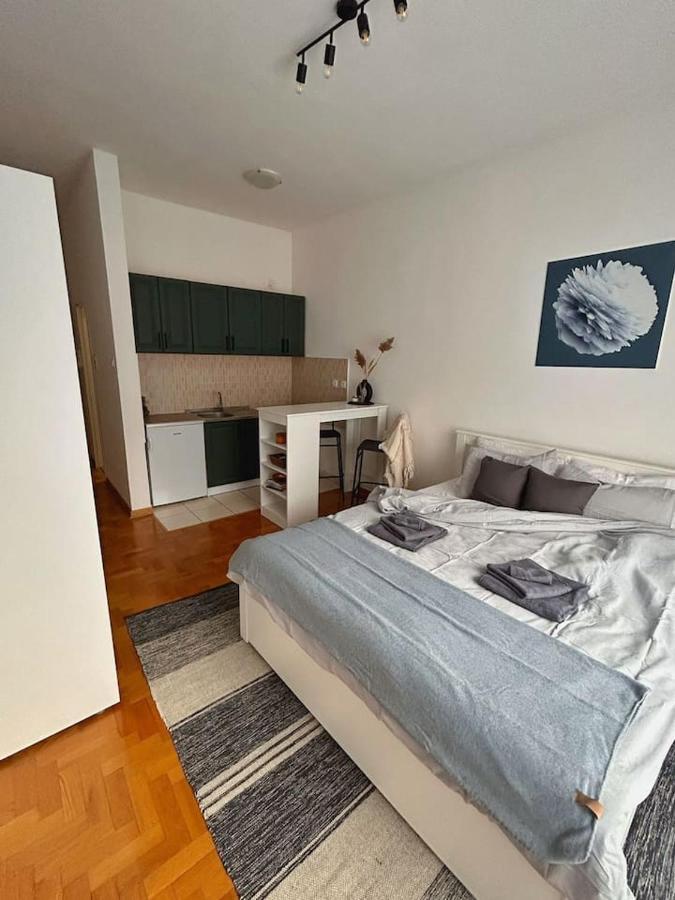 S11 Apartman Újvidék Kültér fotó